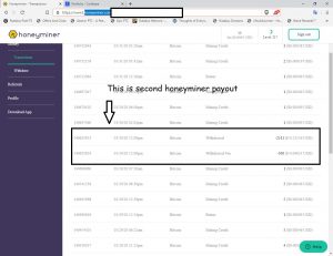 honeyminer website screen second payout