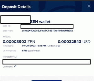 Ru-kun's 39th Payment From Getzen.cash