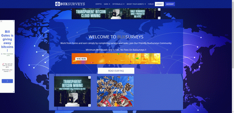 Buxsurveys Website Screenshot