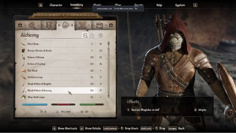 Ru-Kun's_EndOftheYear2025GameplayElderScrollsOblivionRemastered