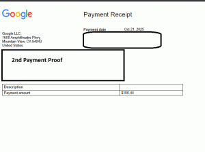 Ru-Kun's 2nd Google Adsense payout